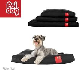 Poi Dog� Medium Dog Bed - BLACK Poly Canvas Duvet Dog Beds - Medium / Small Dogs (34")