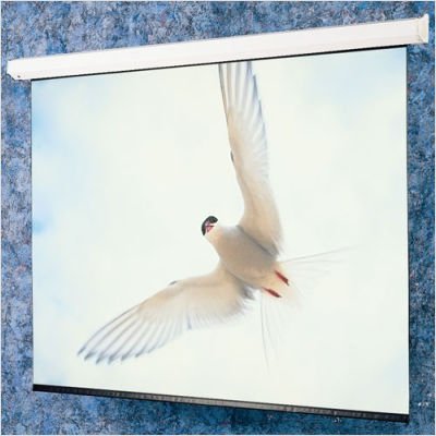 Draper Targa - Projection screen - 130 in - 43 - Fiberglass Matt White - white