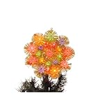 Return to product information