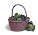 Aubergine Shopping Basket