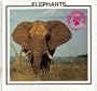 Elephants (Wildlife in Danger)