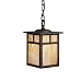 Kichler Lighting 10958CV Alameda 18-Watt 1-Light Fluorescent Energy Star Outdoor Pendant, Canyon View with Honey Opalescent Glass
