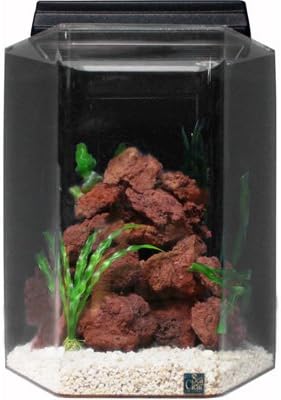 SeaClear 15 Gallon Hexagon Acrylic Aquarium Junior Executive Kit, Cobalt Blue; 15" Flat Side to Flat Side X 20" High