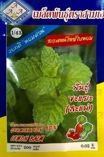 3x Lemon Balm Seeds, Thailand