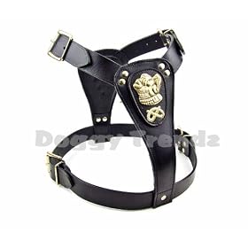 Staffordshire Bull Terrier Black Leather Dog Harness Padded Brass Studded