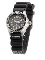 Citizen Ladies Divers Eco-Drive Watch EP6000-07H