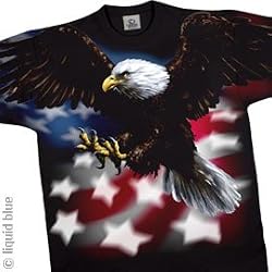 God Bless America Patriotic American Flag Bald Eagle Black T-shirt Tee Shirt