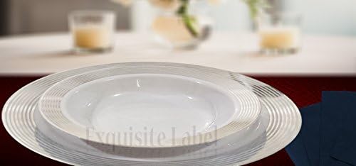 "Exquisite Label" White with Silver Heavyweight Plastic Elegant Disposable Plates, Wedding Party Elegant Dinnerware, Striped Collection (40, 9" Dinner Plates)