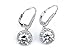 TRUSUPER Jewelry Silver Lever Back Clear Cubic Zirconia Gemstone Halo Dangle Earrings