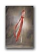 2003 NCAA Football National Champs Ohio State Buckeyes Wind Sock - Wind Sock Ohio St