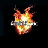 Bluegrass Tribute to Audioslave