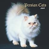 Persian Cats 2009 Wall Calendar