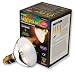 Trex Active Uv Heat Bulb 100w Flood