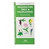 Washington State Trees & Wildflowers: An Introduction to Familiar Species (State Nature Guides)