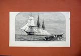 1873 Ship Immortalite Sinking Derelict Zuleika War Sea