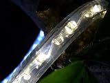 Holiday Lighting - Rope Lights