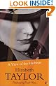 A View Of The Harbour (Virago Modern Classics)