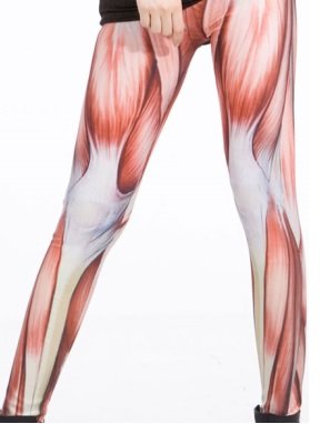 【クリックで詳細表示】Amazon.co.jp ｜ 巨人のタイツ 進撃の巨人 attack on titan コスプレ衣装 スパッツ レギンス タイツ ｜ ホビー 通販