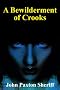 A Bewilderment of Crooks (Jack Scott Mystery (Two))