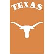 Texas Longhorns NCAA Applique Banner Flag (44"x28")
