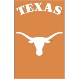 Texas Longhorns NCAA Applique Banner Flag (44x28)