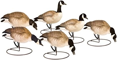 Final Approach FA Last Pass Hd Lesser Canada Decoy Outfitters Pack, 6 Pack