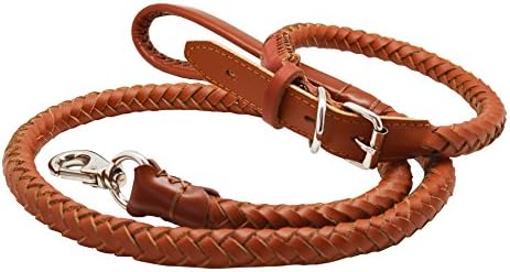 WaWa Handmade Leather Pet Sets: Training Leash + Cushioning Martingale Collar (Brown)