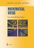 Mathematical Vistas: From a Room with Many Windows (Undergraduate Texts in Mathematics)