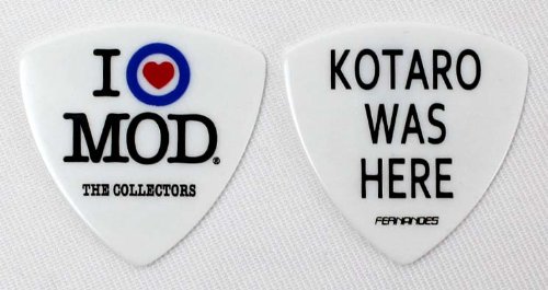 FERNANDES P-100 古市コータロー シグネチャーピック×10枚