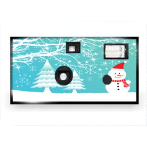 Chirstmas Disposable Camera Case Pack 20