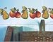 Wallies Susan Winget Fruit Pears Apples Kitchen Decor