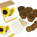 Gift Republic: Grow It. Grow Your Own Sunflowers