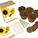 Grow Your Own Sunflower