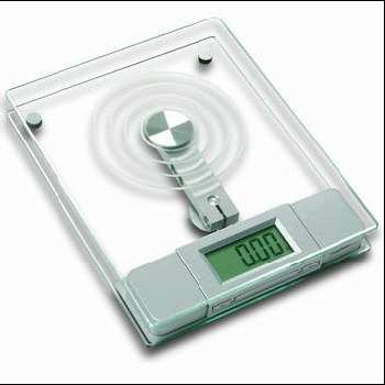 Newline 22-pound High Capacity Digital Kitchen Food Scale (eligible for FREE Super Saver Shipping on orders over $25.00)