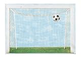 York Wallcoverings York Kids IV BH1878M Soccer Goal Mural, Blue Background/Green