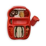 Goodbyn Lunchbox, Red/Orange
