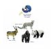 4-D Endangered Species Puzzle, 4pcs