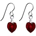 Titanium Heart January Birthstone Earrings Made with SWAROVSKI ELEMENTS
