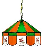 16 Swag Hanging Lamp Light University of Miami Hurricanes - Free Shipping
