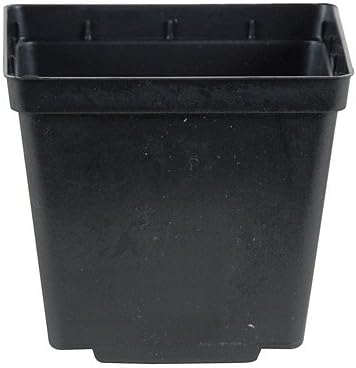 Case of 200 NEW BLACK 5" Kord Jumbo Square Pot ~ Pots are 5 3/8" W x 5 3/8" L x 6" H