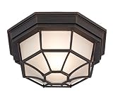 Dark Rust 11 Wide Outdoor Ceiling Light Fixture