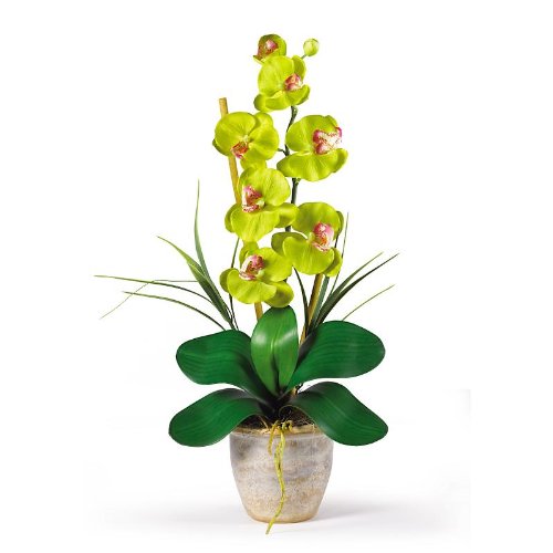New Nearly Natural Single Stem Phalaenopsis Silk Orchid Arrangement Charming Pretty Realistic Green