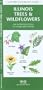 Illinois Trees & Wildflowers: An Introduction to Familiar Species (State Nature Guides)