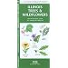 Illinois Trees & Wildflowers: An Introduction to Familiar Species (State Nature Guides)