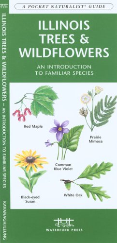 Illinois Trees & Wildflowers: An Introduction to Familiar Species (State Nature Guides)