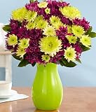 Beautiful Blooms for Mom by Proflowers Sale