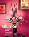 Blumen, Gestecke, Sträuße, Dekorationen