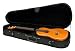 Lanikai Baritone Ukulele Polyfoam case Lanikai Baritone Ukulele Polyfoam case