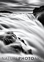 Nature Photo Art 2013