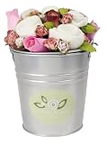 The Baby Bunch Organic Bucket Bunch - Buff Blush, 0-6 Months